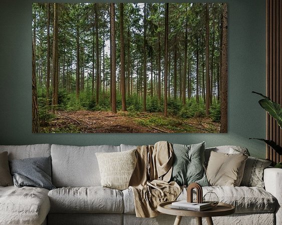 Aperçu de la chambre