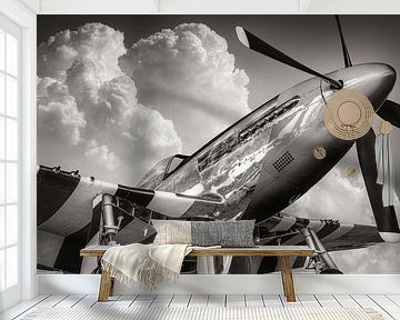 fighter aircraft by Frank Peters