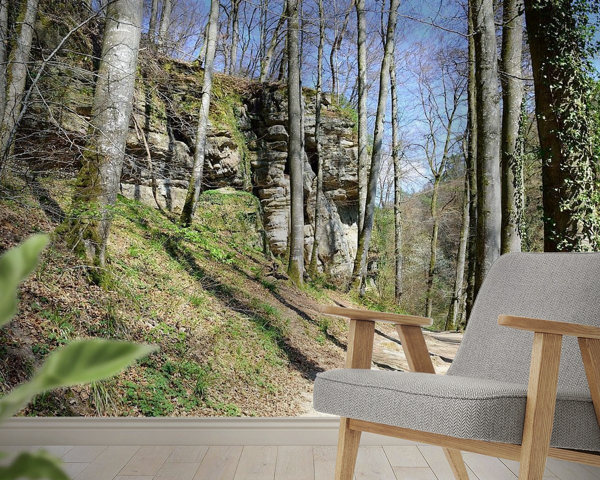 Raumvorschau