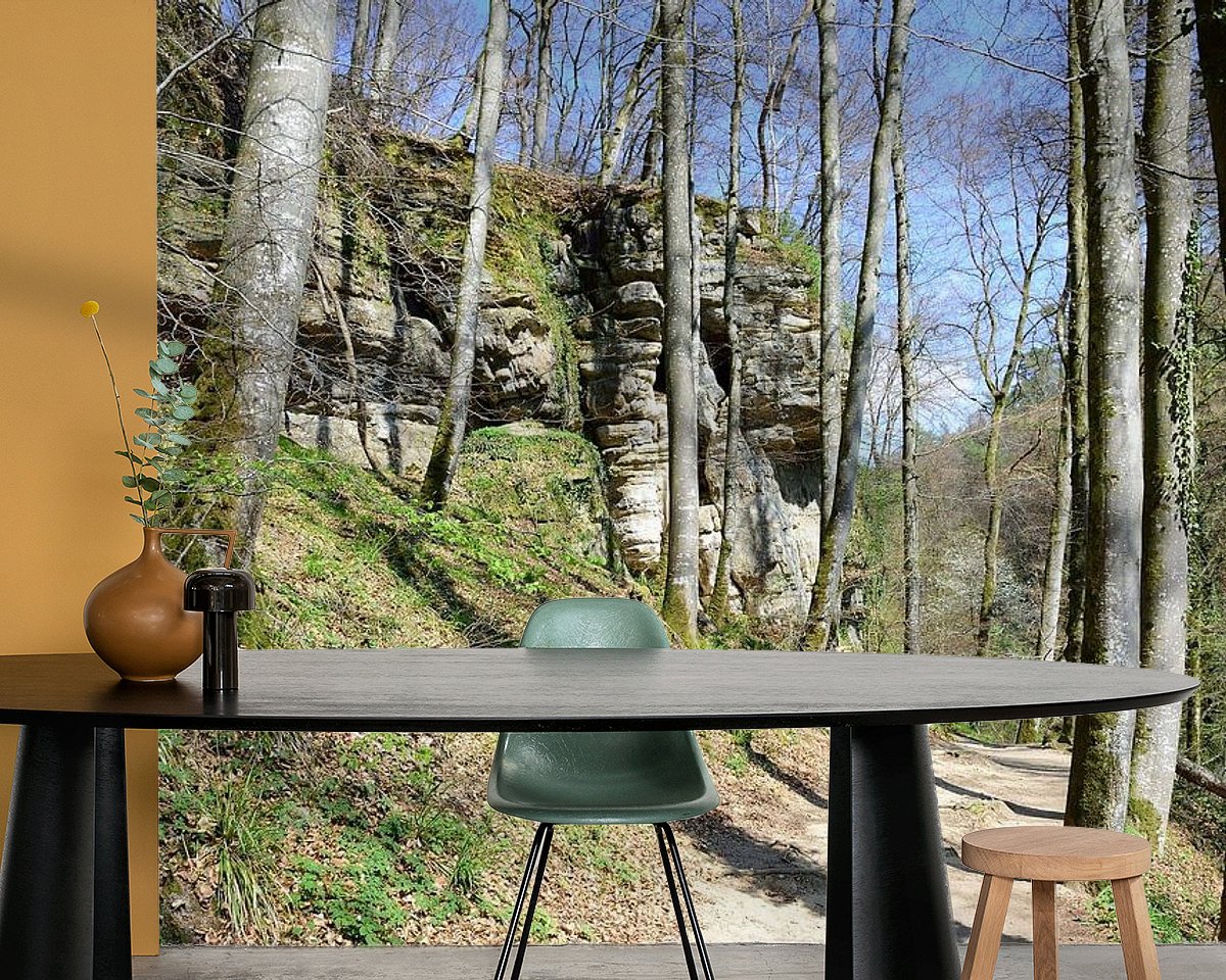 Raumvorschau
