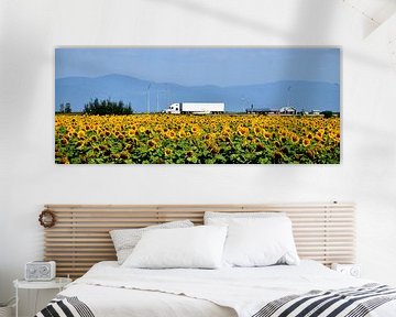 Een veld met zonnebloembloemen in de zomer van Claude Laprise