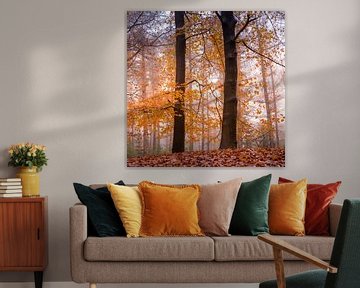 Prachtige warme herfstkleuren in het bos van Marloes ten Brinke