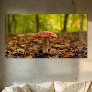 Fliegenpilz in einem Wald im Herbst