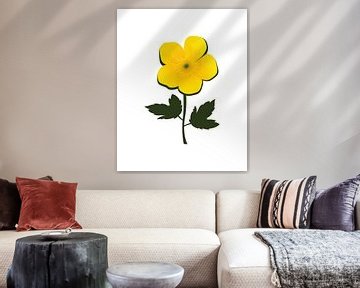 Abstract buttercup by Tanja Udelhofen
