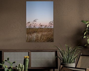 Zonsopkomt met pastel kleuren in de natuur van Lydia