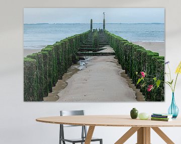 Vegetated breakwater Vlissingen