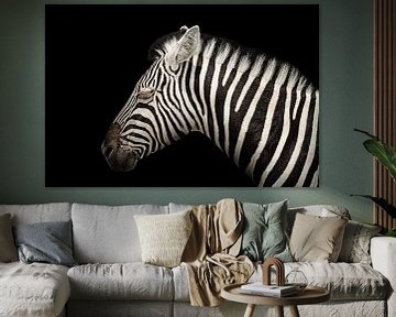 Elegantes Zebra von Wianda Bakker