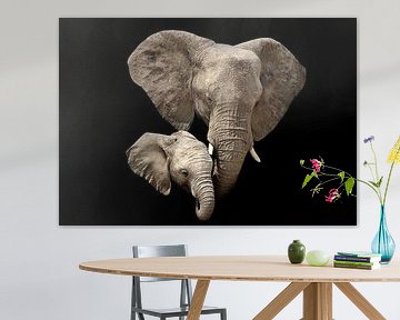 Elefant  von Wianda Bakker