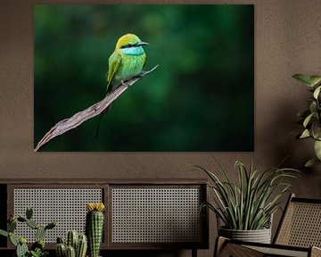 Kleine groene bijeneter van Laura Vink