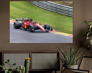 Ferrari formule 1 van Jack Van de Vin