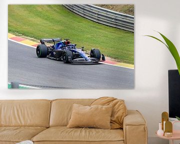 Williams formule 1 van Jack Van de Vin