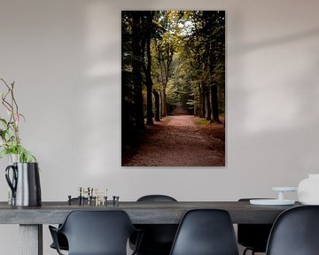 avenue forestière avec des arbres photo verticale