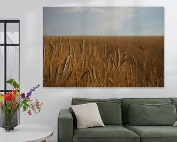 Grain