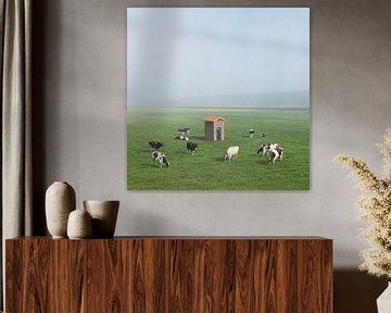 zwart bonte koeien in mistig weiland met elektriciteitshuisje van anton havelaar
