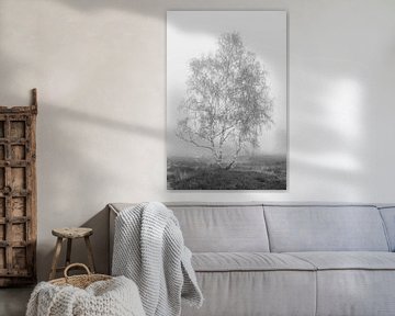 Large birch in the mist - black and white by Ate de Vries