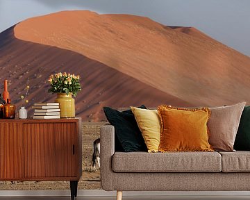 Oryx - Sossusvlei - Namibia by Eddy Kuipers