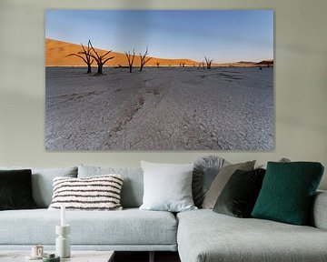 Deadvlei - Namibië sur Eddy Kuipers