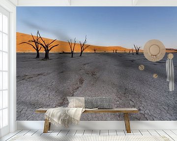 Deadvlei - Namibië von Eddy Kuipers