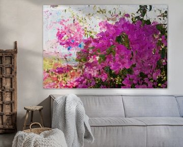 Bougainvillea sur Petra Dreiling-Schewe