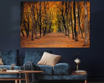 Footpath through a Beech tree forest during an autumn day by Sjoerd van der Wal Photography