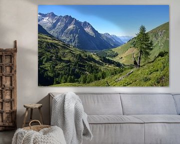 Alpien landschap in Zwitserland