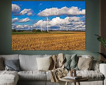 Champ de chaume dans la lumière automnale d'octobre sur Silva Wischeropp