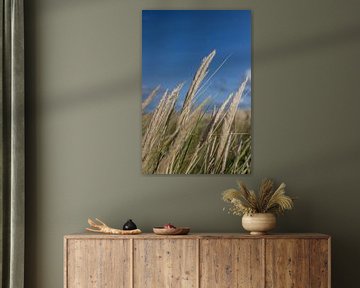 Photo de nature sur Vlieland sur la plage, nuances pastel photo sur Lydia