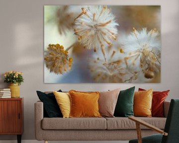 Flauschige und flaumige Blüten von Jolanda de Jong-Jansen