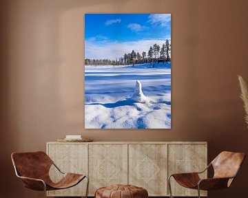 Landschaft mit Schnee im Winter in Kuusamo, Finnland von Rico Ködder