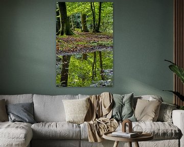 Spiegelung des bunten Waldes in einem Wasserbecken von Bram Lubbers