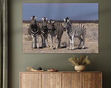 Zèbres - Parc national d'Etosha sur Eddy Kuipers