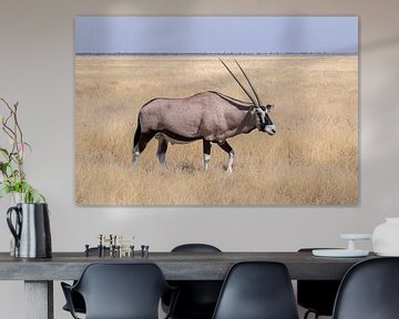 Oryx - Etosha National Park van Eddy Kuipers
