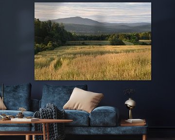 An oat field in autumn by Claude Laprise