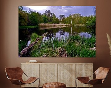 Waldsee Idylle am Nonnenfließ im Naturpark Barnim von Silva Wischeropp