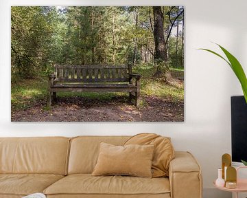 Nehmen Sie Platz - Naturfoto einer Bank im Wald von Qeimoy