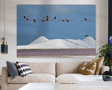 Flamingo's pass through Bonaire's salt mountains by Pieter JF Smit