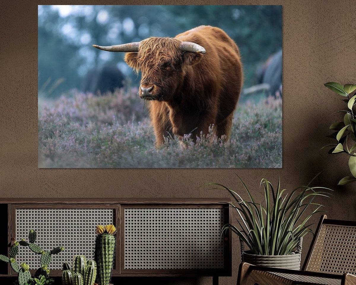 Raumvorschau