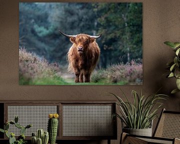 Schottischer Highlander inmitten der violetten Heidelandschaft von Roy Kreeftenberg