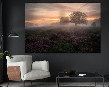 Sunrise Bakkeveenseduinen 2 by Arjan Bijleveld