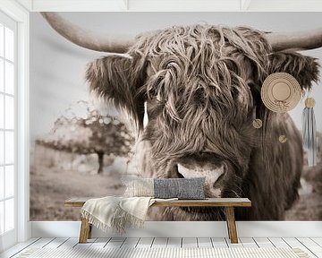 highland cow by Jo Beerens