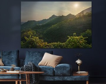 Vignobles des collines de Prosecco au coucher du soleil. Italie sur Stefano Orazzini