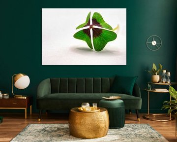 Get lucky with a four-leaf clover by Jolanda de Jong-Jansen