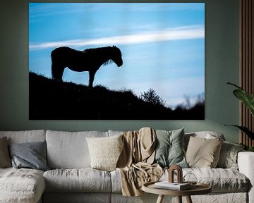 Silhouette van paard van EJH Photography