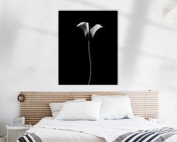 Fleur en noir et blanc, calice sur Studio Allee