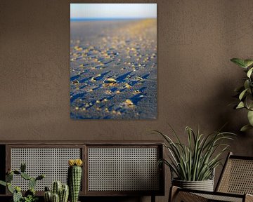Schiermonnikoog - Schelpengordel