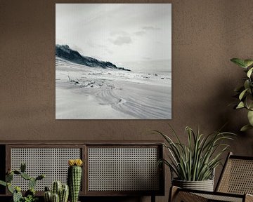 Schiermonnikoog - Duinenrij noordzeestrand van Daniël Nelck