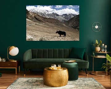 Yak im Nubra Valley van Melanie Jäger