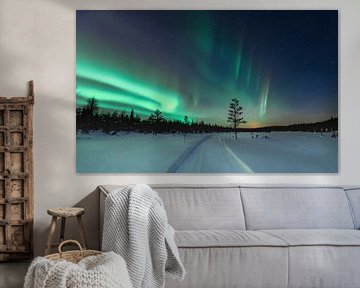 Northern lights across the path | travel photography print | Ruka, Lapland, Finland by Kimberley Jekel