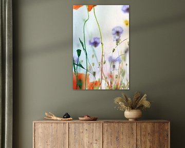 Mohnblumen und Kornblumen von Markus Wegner