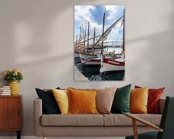 Traditionele boten in de haven van Sanary-sur-Mer, Frankrijk van 7Horses Photography